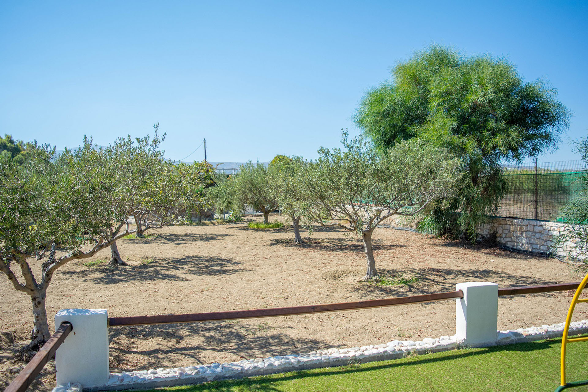 Paros Hotels