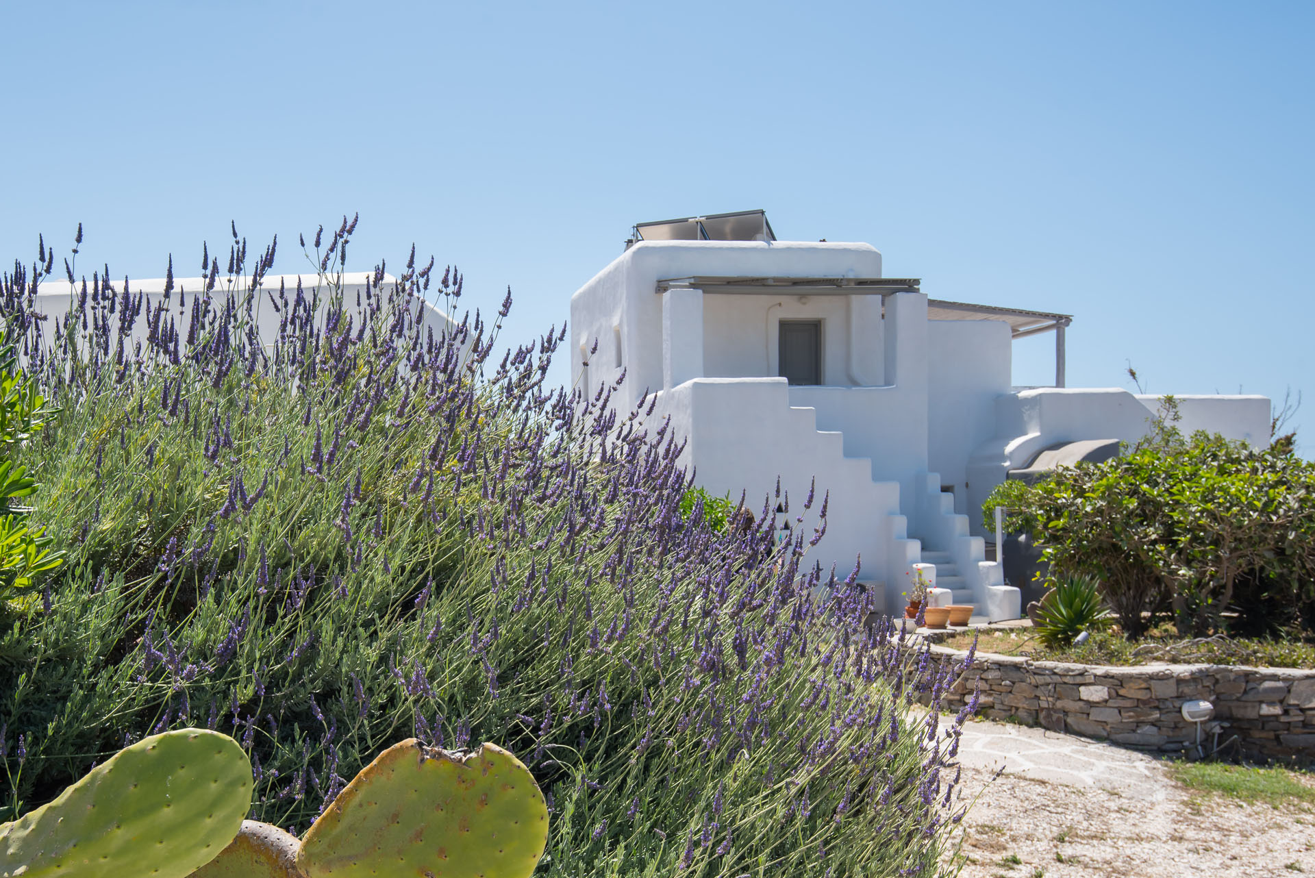 Paros Hotels