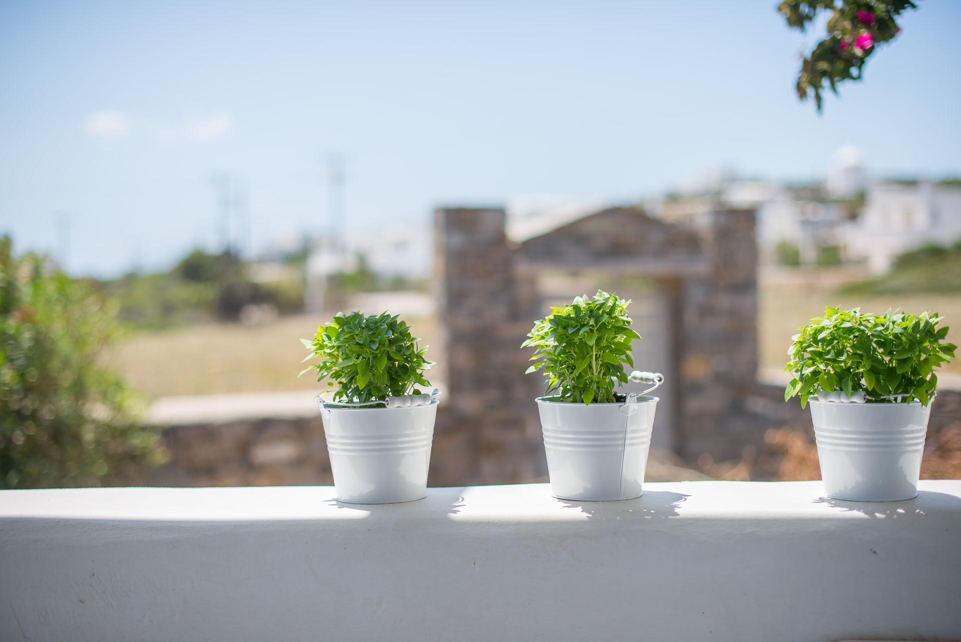 Paros Hotels