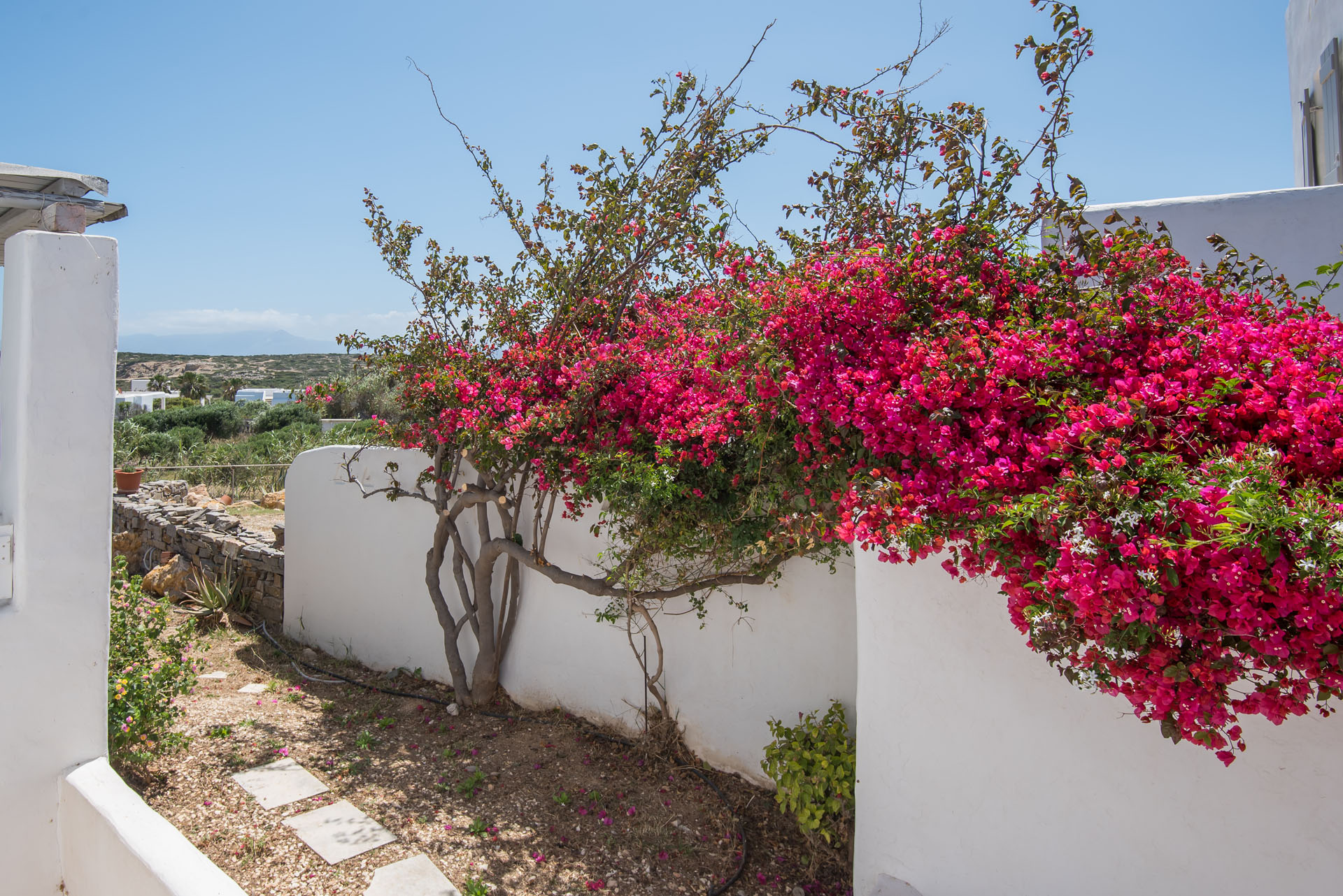 Paros Hotels