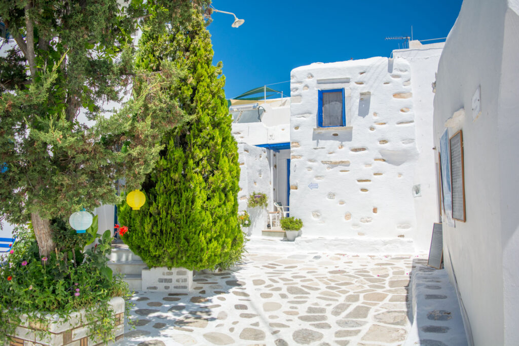 Prodromos Village Paros