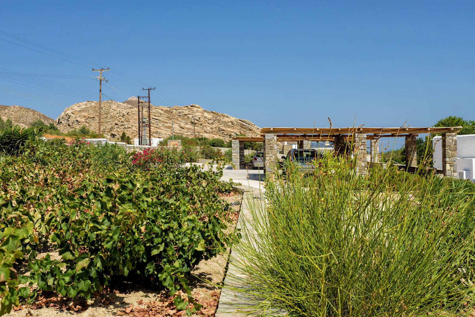 Paros Villas